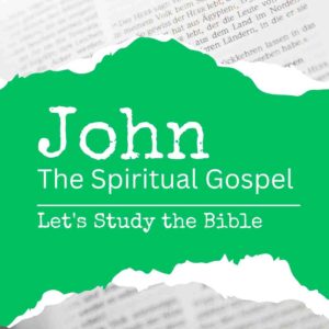 Read more about the article The Gospel of John